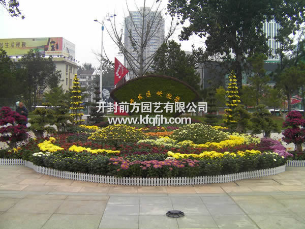 開(kāi)封前方園藝——五色草立體花壇廠家直銷